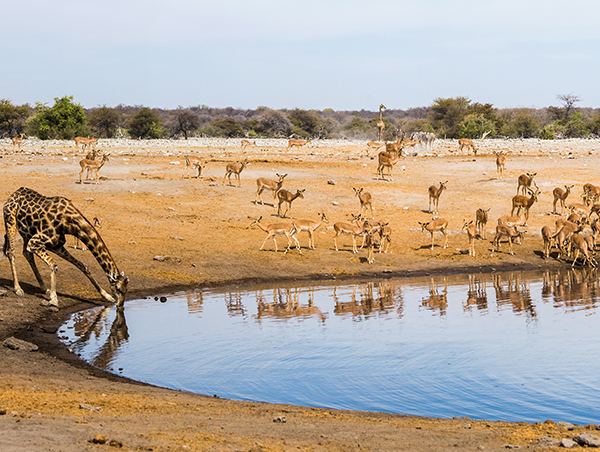 Namibia5.jpg