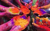 holi_pk31848_1.gif